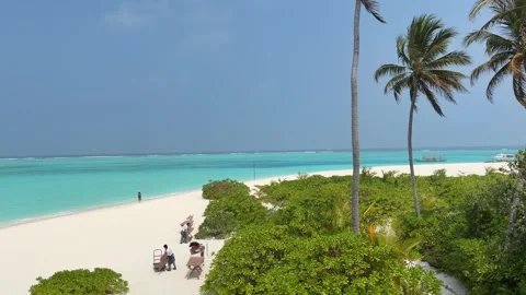 White Sand Beach with Palm Trees at Maldives Resort Stock-Footage 330883328