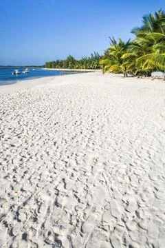 White sand beach Stock Photos