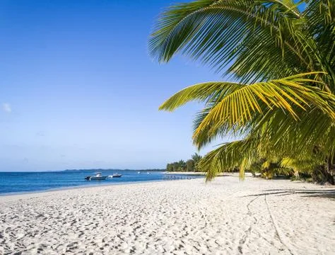 White sand beach Stock Photos