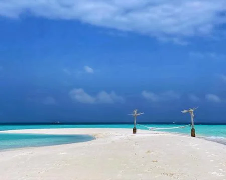 White sand on the beach 写真素材