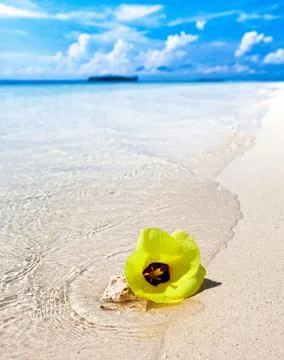 White sand BEACH Stock Photos
