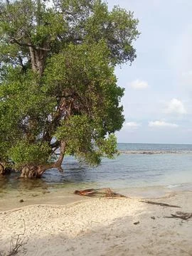 White sand beach Stock Photos