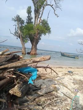 White sand beach Stock Photos