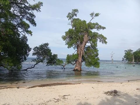 White sand beach Stock Photos