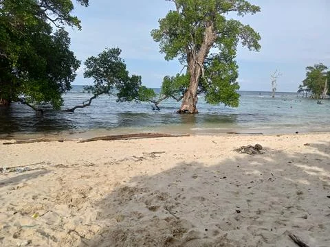 White sand beach Stock Photos