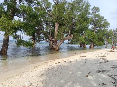 White sand beach Stock Photos