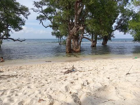 White sand beach Stock Photos