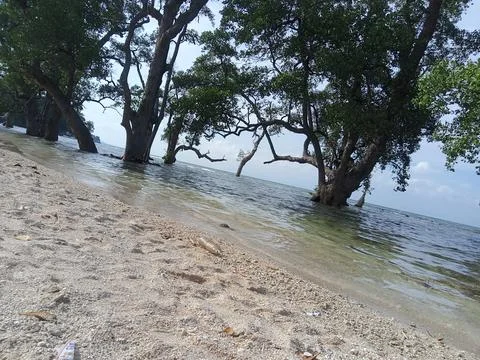 White sand beach Stock Photos