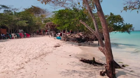 A white sand beach with trees on the shore of a paradisiac island with Vídeo Stock 149284292