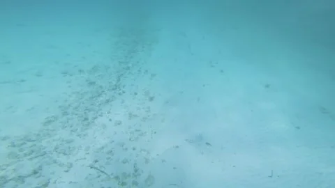 White sand dune at the bottom of ocean sea bed floor with blue turquoise color w Stock Footage 250469598