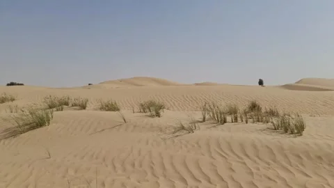 White sand dune in dessert Stock Footage 195991313