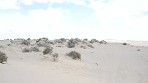 White sand dunes and sagebrush in the Oregon high desert Stock Footage 346794574