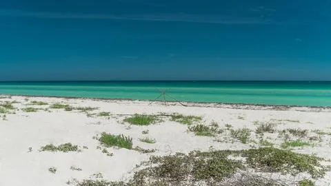 White sand dunes with sparse vegetation by turquoise ocean Stock Photos