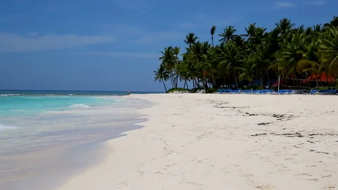 White sand islands with coconut trees in the Caribbean. Stock Footage 97161317