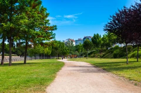 White sand path in park green grass and trees Stock Photos