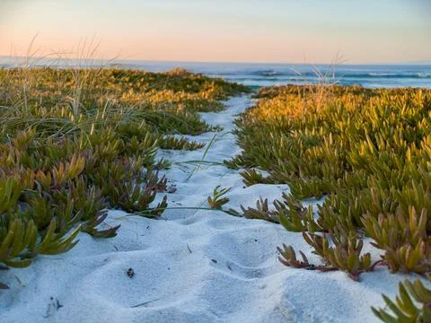 White Sand Path Stock Photos