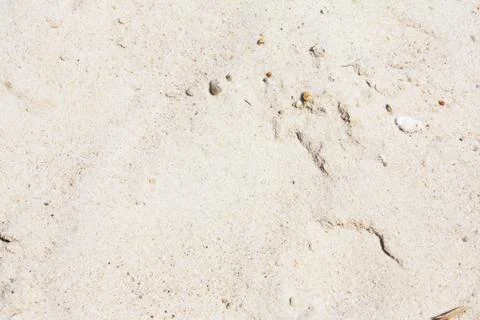 White sand Stock Photos