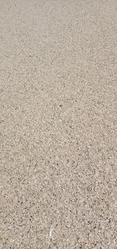White Sand Stock Photos
