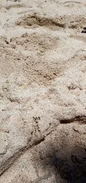 White Sand Foto stock