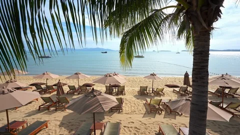 A white sand resort beach framed by palm fronds and​ covered with padded Stock Footage 111605975