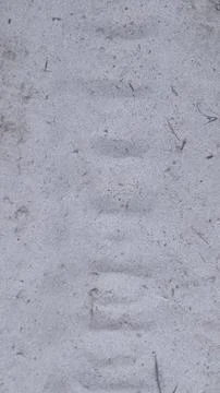 White sand texture background close up view 写真素材