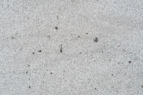 White Sand Texture with Small Natural Debris Stock Photos