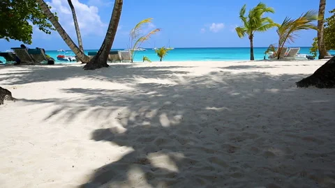 White sand under the shade of palm trees. Stock Footage 96239904