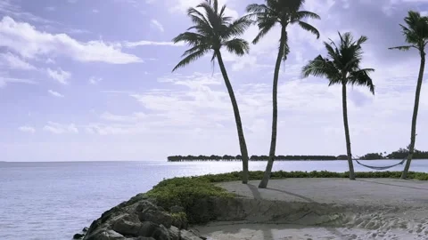White Sandy Beach In The Maldives Video stock 287231086