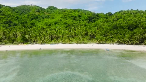 White sandy beach with palm trees and clear water. Cobrador Island, Romblon Stock Footage 310070185