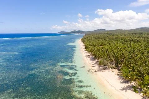 White sandy beach with palm trees on the island of Siargao, Philippines. Stock Photos