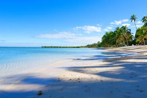 White sandy beach on a small Pacific Island Stock Photos