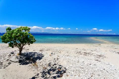 White sandy beach on a small Pacific Island Stock Photos