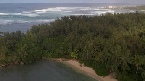 White Sandy Tropical Beach with Turquoise Blue Water in Hawaii Stock Footage 228819210