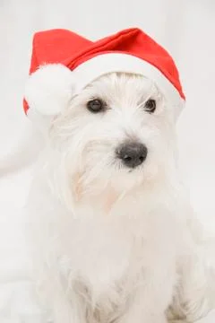 A white santa. Stock Photos