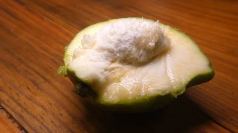 White sapote Stock Footage 112824420