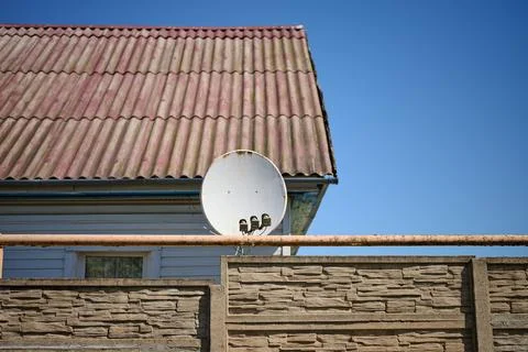 A white satellite dish is mounted below a weathered red corrugated roof on a  Фото