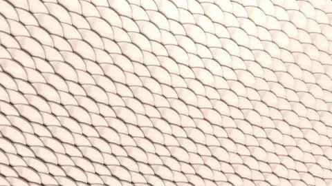 The White scale for Abstract Background 3d Rendering. Stock Photos