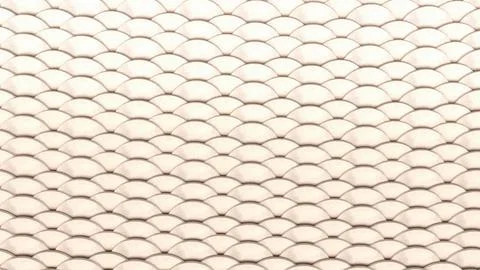 The White scale for Abstract Background 3d Rendering. Stock Photos