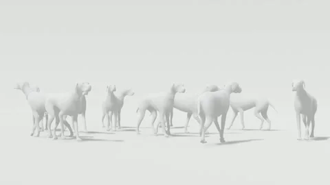 White Screen Background Animation of Dog Illustration Stock Footage 318342278