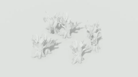 White Screen Background Animation of Tree Trunk Without Leaves Stock Footage 318342215