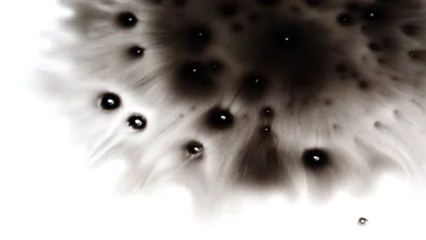 White screen spreading of ink blot Stock Footage 147702293