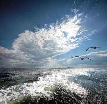 The White sea. Stock Photos