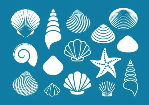 White sea shells and starfish Stock Illustration