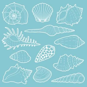 White sea shells vector icon set Stock Illustration