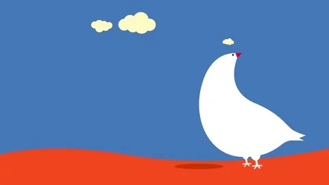 White seagull looking backwards standing on the right side of a red sand beach Stock Footage 131682195