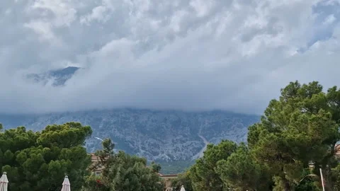 A white seagull soaring in the mountains covered with green forests. A summer Stock Footage 287995749