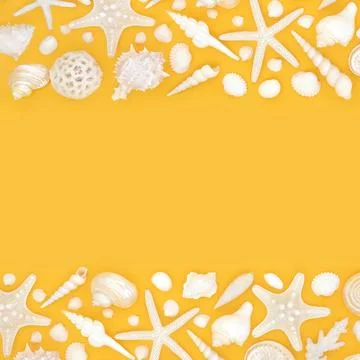 White Seashell Background Border Design of Beach Shells Stock Photos