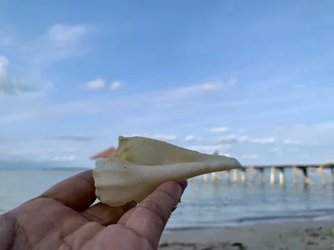 White Seashell Held by Hand with Calm Sea and Wooden Pier at Tanjung Lesung Stock Photos