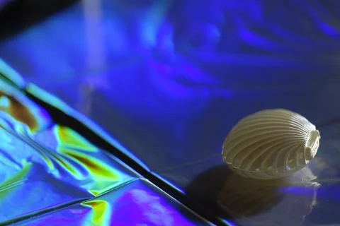White seashell on iridescent holographic surface with vibrant blue and gree.. 库存照片