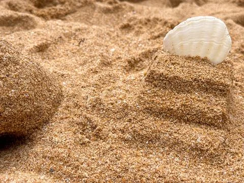 A white seashell rests on a sandy beach dune, evoking summer and coastal tran Stock Photos
